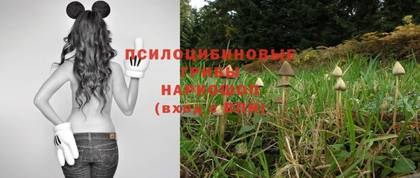 гидропоника Абаза
