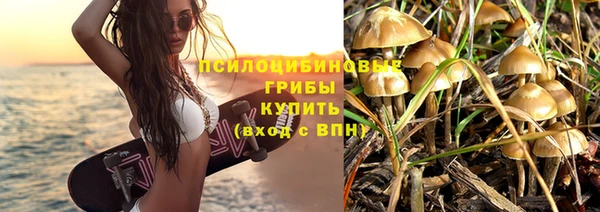гидропоника Абаза