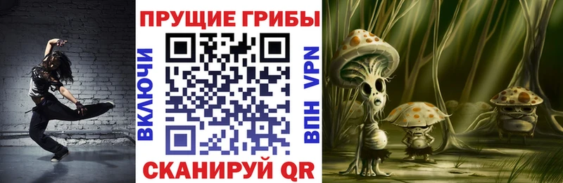 цены   Морозовск  Галлюциногенные грибы Psilocybine cubensis 